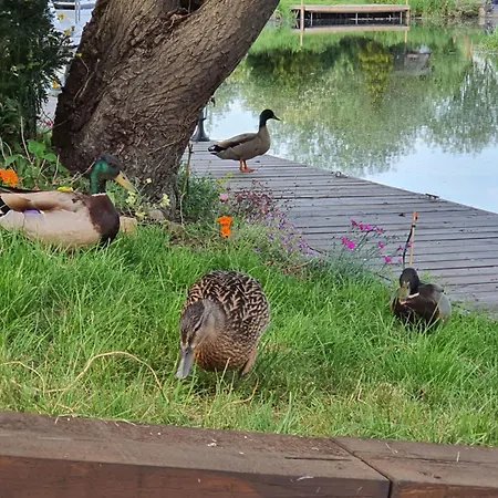 River Cottage Stoke Ferry Экстерьер фото