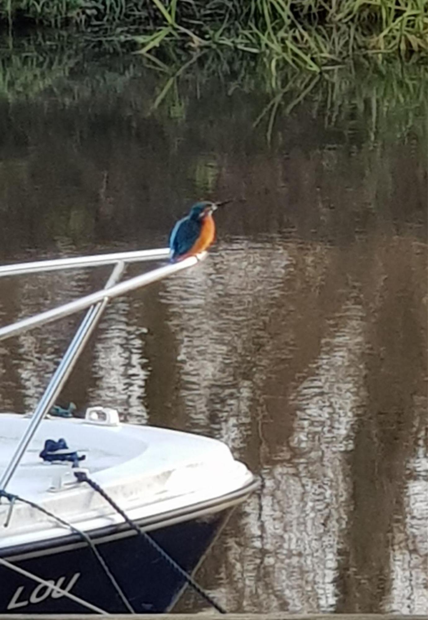 River Vakantiehuis *