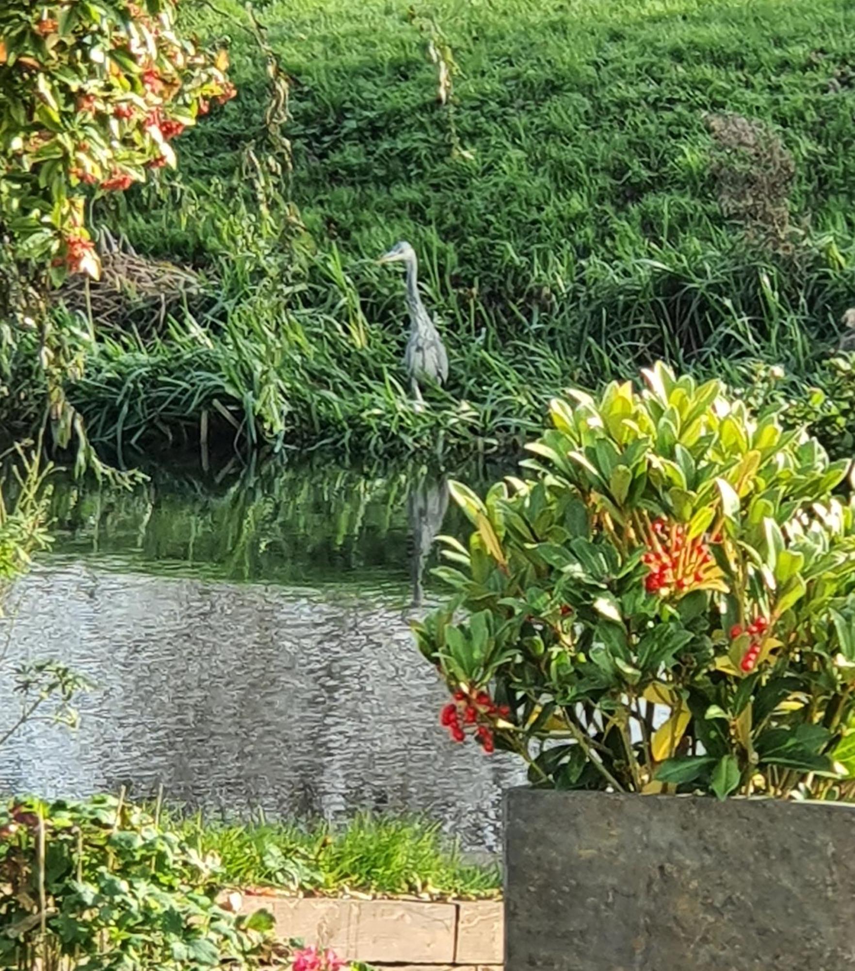 River Vakantiehuis *